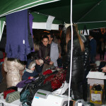 Fiera_Desaleo_2012  (38)