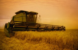 26 Oct 2004 --- Combine Harvesting Crop --- Image by © Darren Greenwood/Design Pics/Corbis